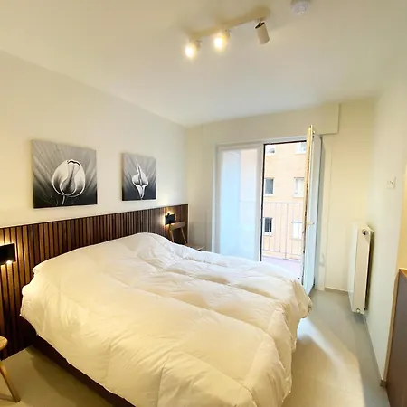 Apartamento In Near The Nieuwpoort