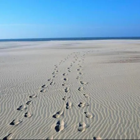Apartamento In Near The Nieuwpoort