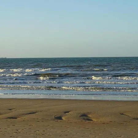 Apartamento In Near The *