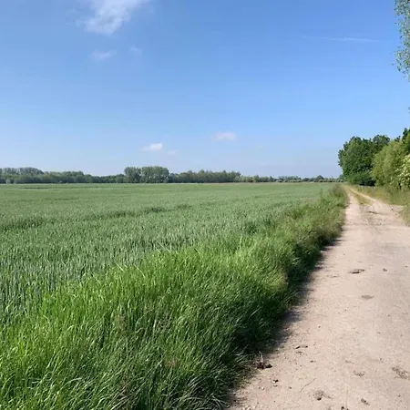 Apartamento In Near The *