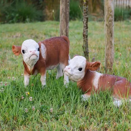 Apartamento In Near The